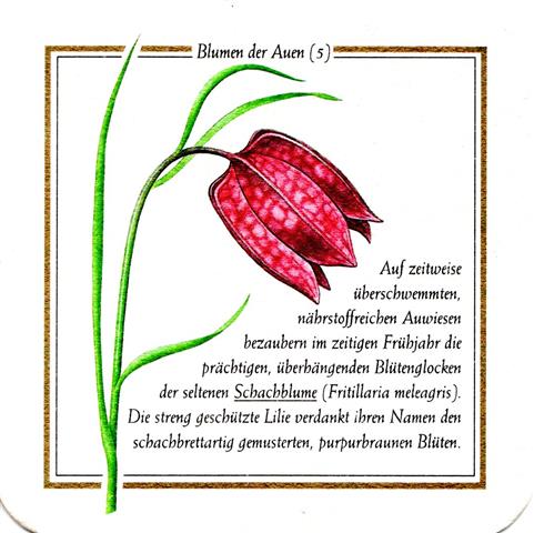 lich gi-he licher bda lich 5b (quad185-schachblume 5)